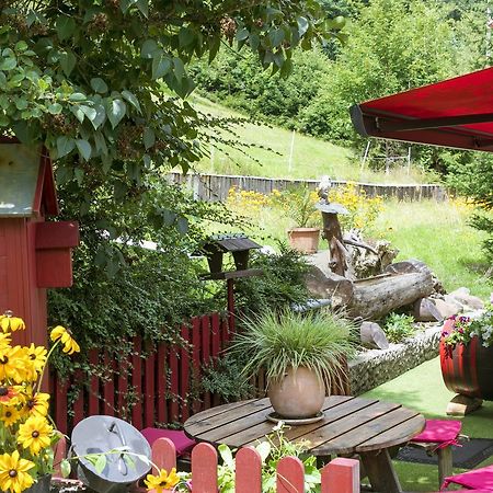 Gite Chez Mimie Breitenbach-Haut-Rhin Buitenkant foto