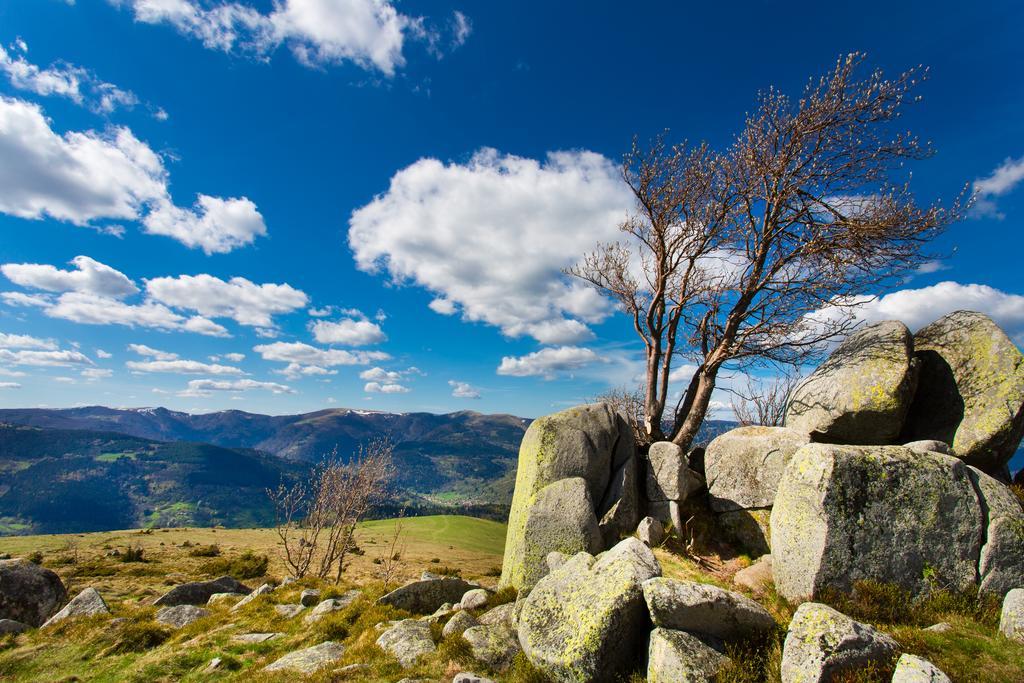 Gite Chez Mimie Breitenbach-Haut-Rhin Buitenkant foto