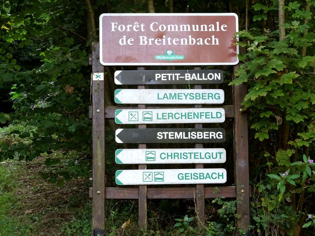 Gite Chez Mimie Breitenbach-Haut-Rhin Buitenkant foto