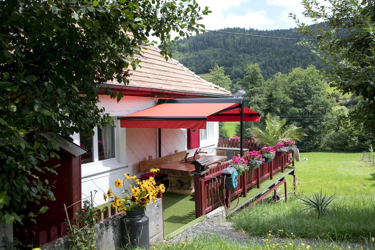 Gite Chez Mimie Breitenbach-Haut-Rhin Buitenkant foto