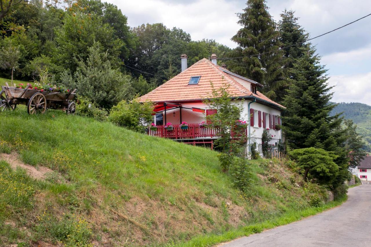 Gite Chez Mimie Breitenbach-Haut-Rhin Buitenkant foto