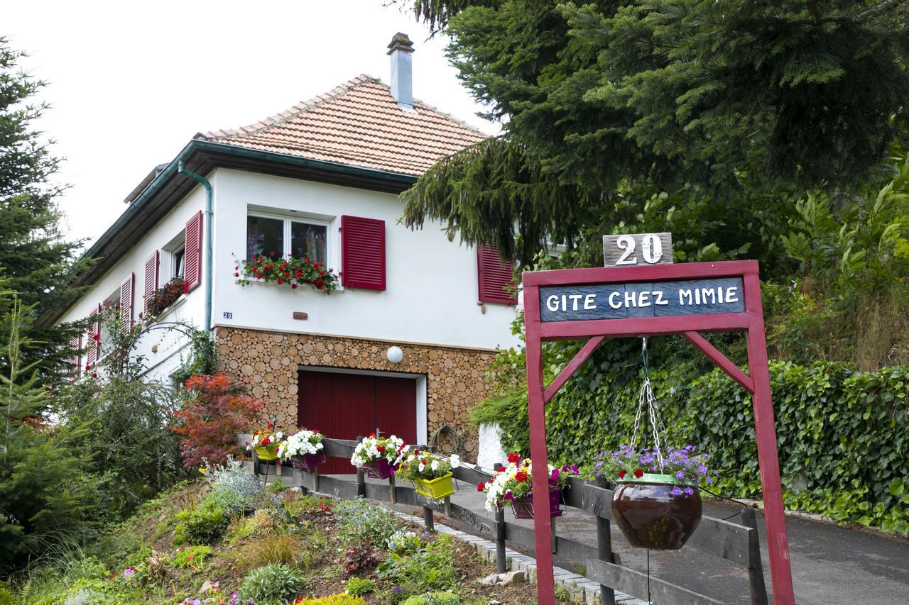 Gite Chez Mimie Breitenbach-Haut-Rhin Buitenkant foto