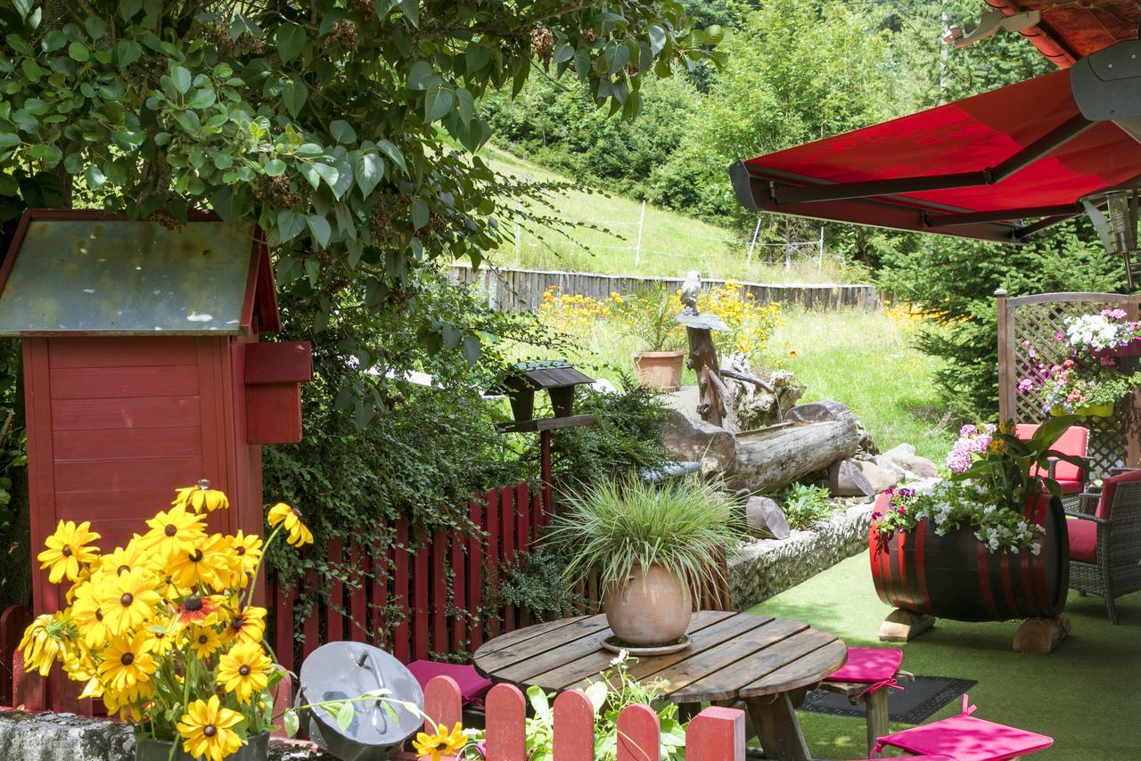 Gite Chez Mimie Breitenbach-Haut-Rhin Buitenkant foto