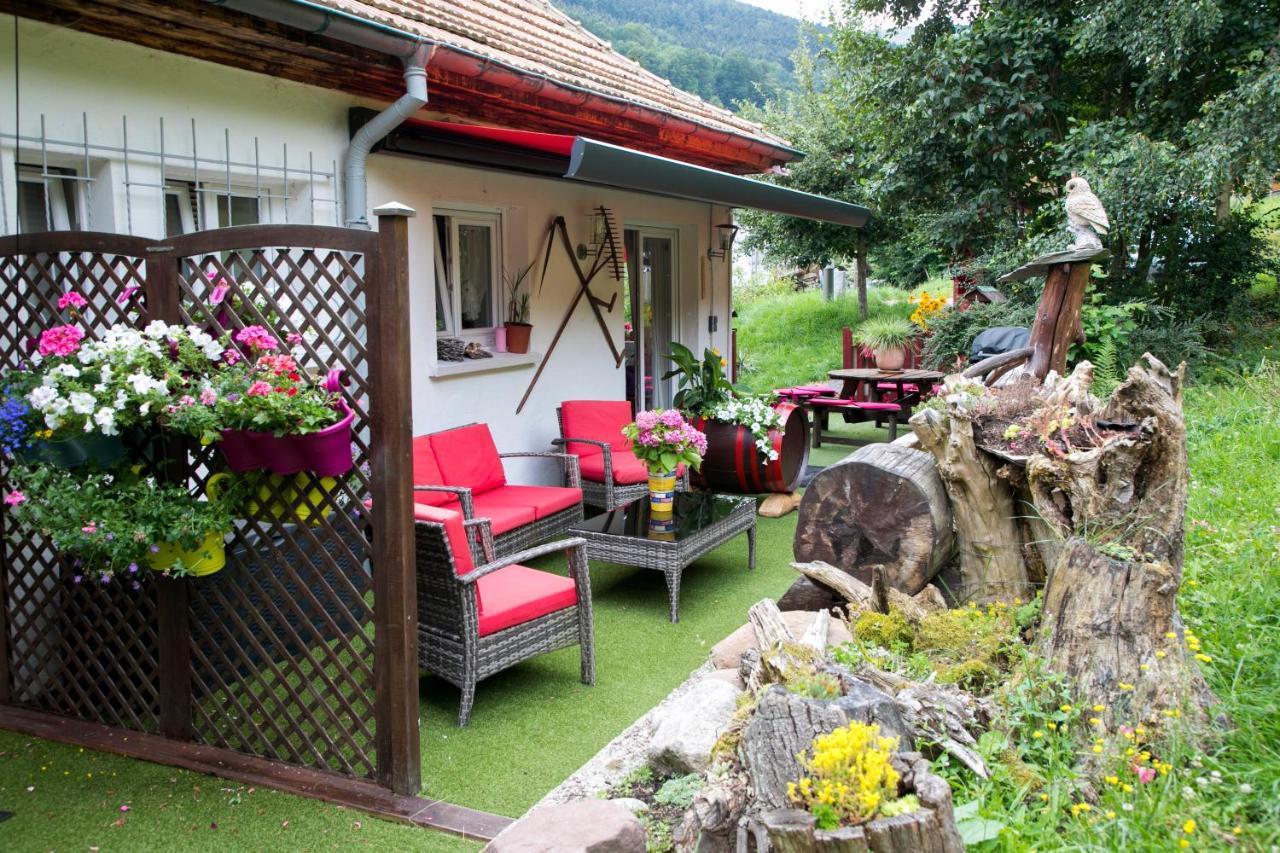 Gite Chez Mimie Breitenbach-Haut-Rhin Buitenkant foto